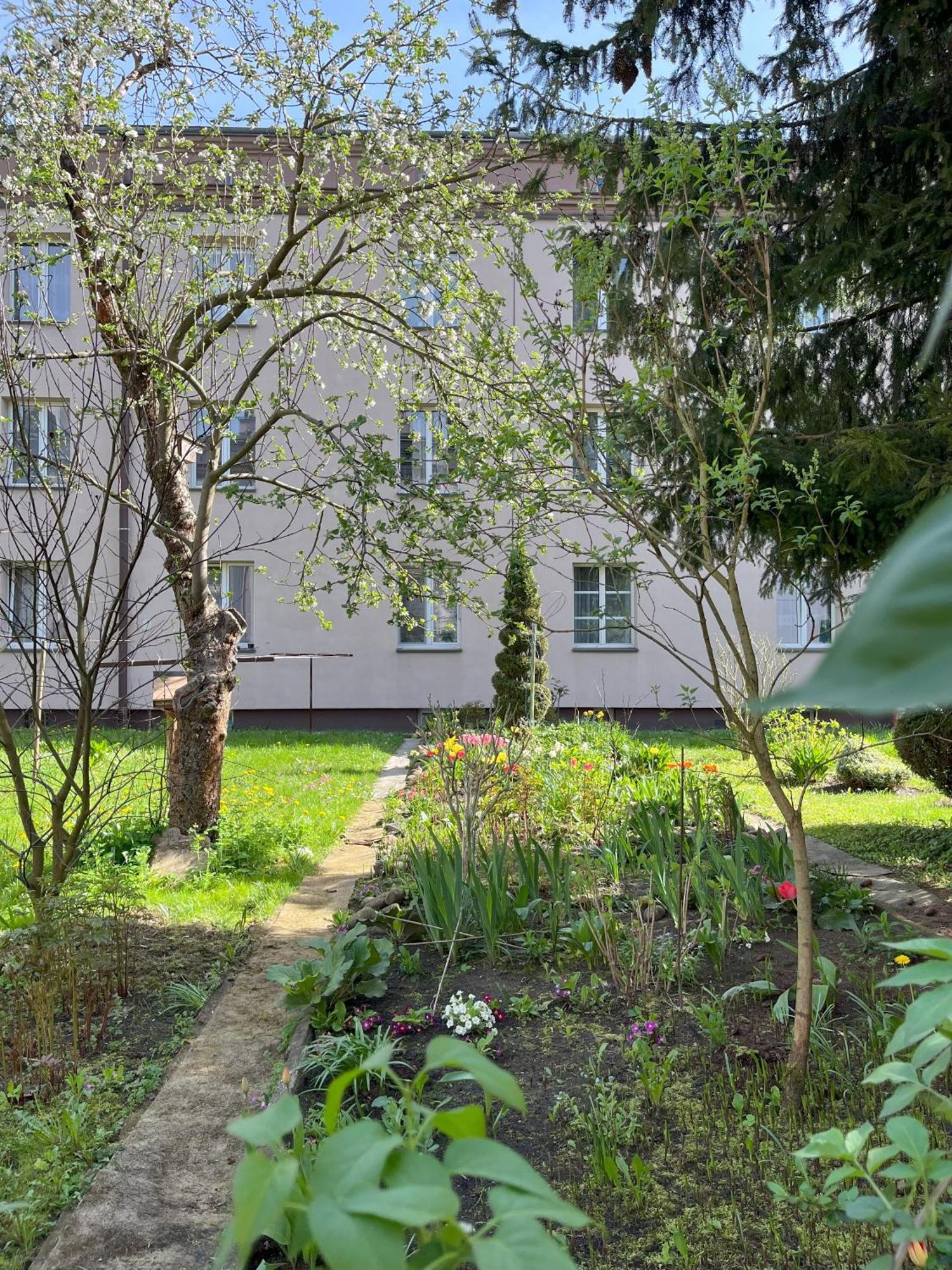 Greenthumb Praska Krakow Exterior photo