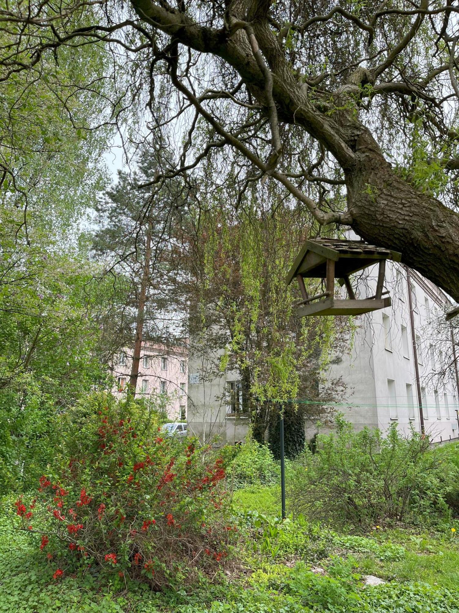 Greenthumb Praska Krakow Exterior photo