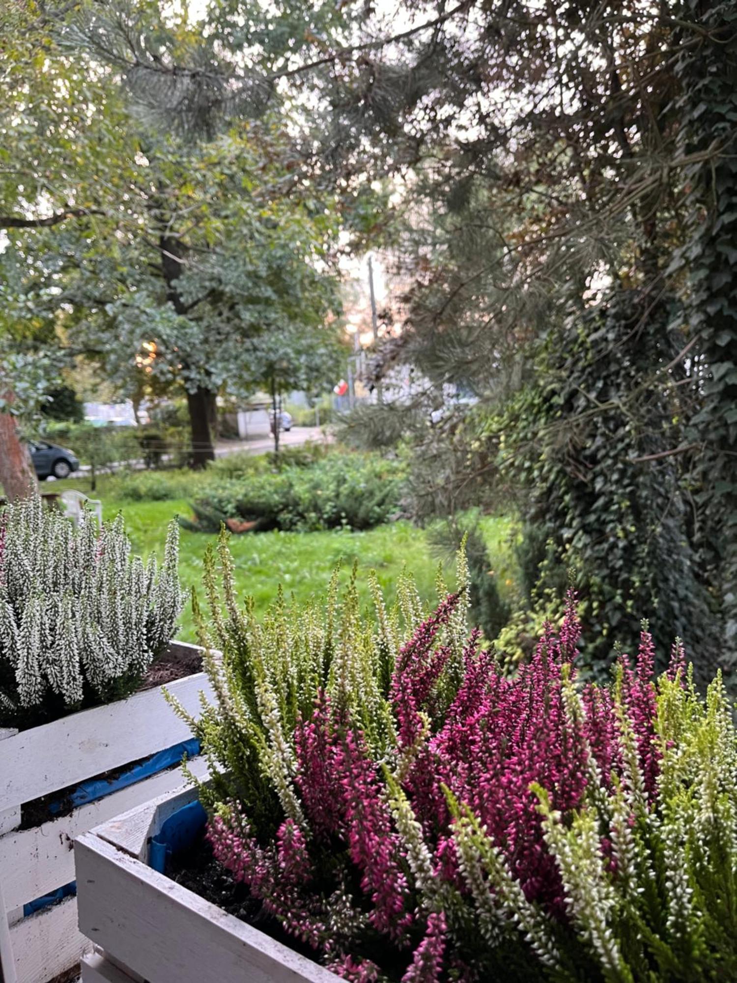 Greenthumb Praska Krakow Exterior photo